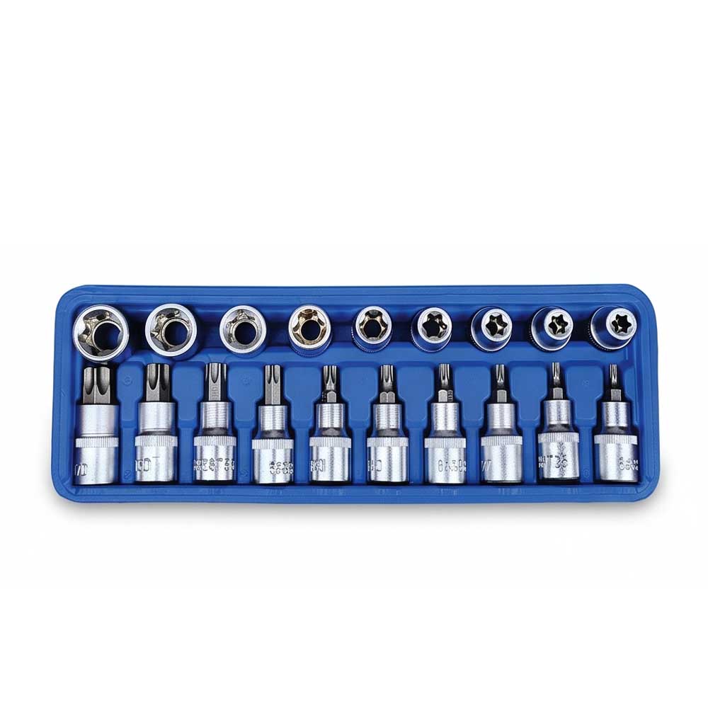 19 Pcs Torx Bit And E Socket Set