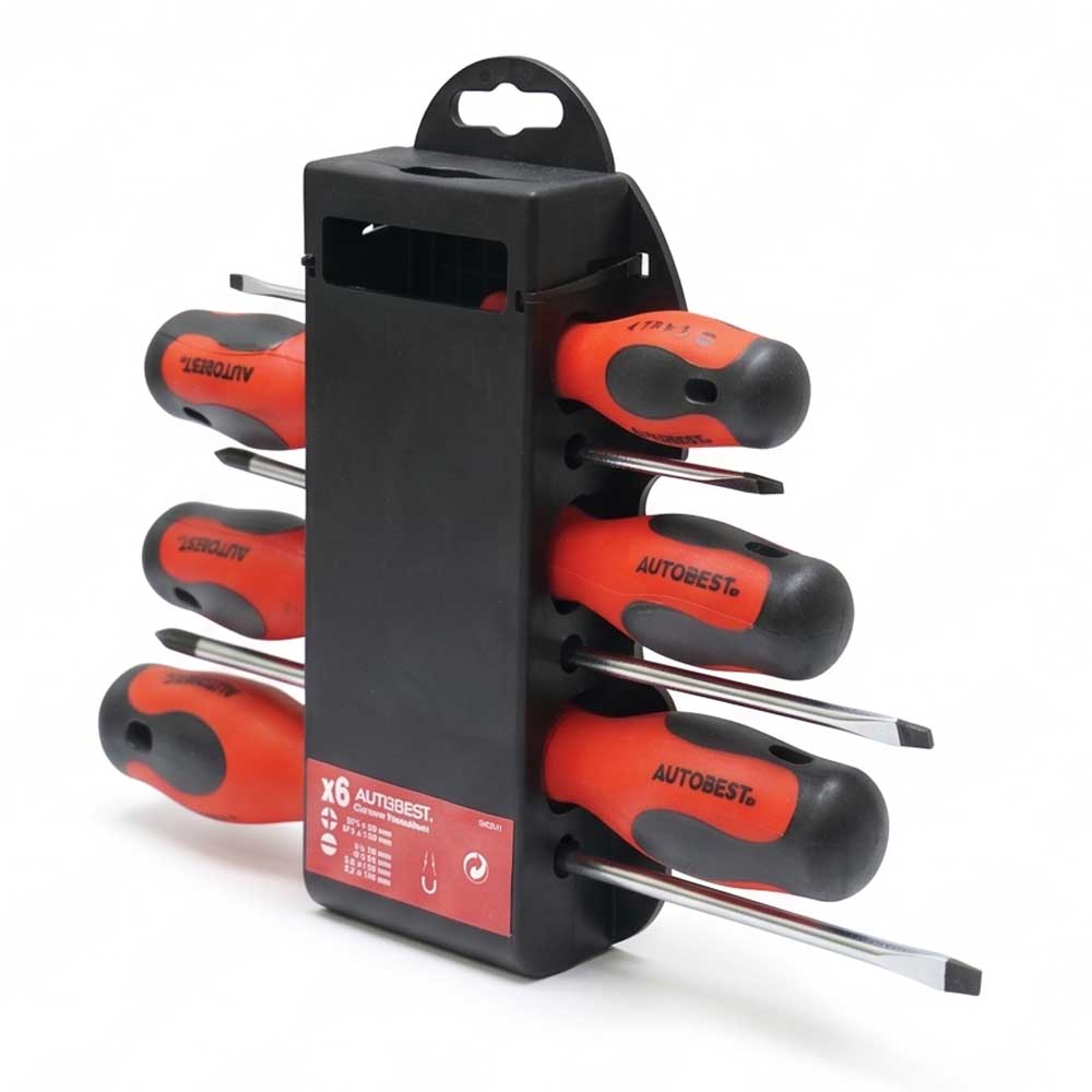 6 Pcs Screwdriver Set Magnetic Tip